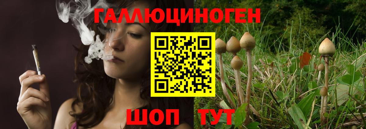 Омск  Псилоцибиновые грибы мицелий  Галлюциногенные грибы Magic Shrooms  Вход с VPN 