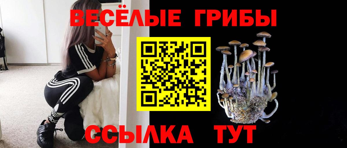 Псилоцибиновые грибы MAGIC MUSHROOMS Омск